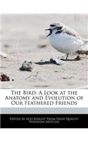 The Bird: A Look at the Anatomy and Evolution of Our Feathered Friends(English)