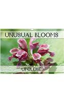 Unusual Blooms Up Close 2018: A Potpourri of Peculiar Blossoms(Calvendo Nature)