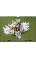 Nos Amies Les Petites Betes 2018