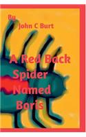 A Red Back Spider Named Boris.
