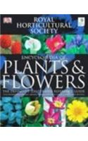 Rhs Encyclopedia Of Plants & Flowers
