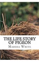 Life Story of Pigeon: Moving from trees to windows, a side-effect of deforestation