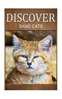 Sand Cats - Discover