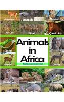 Animals In Africa: A Picture Book For Kids To Learn African Animals