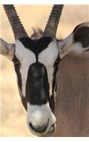 Gemsbok Antelope Journal: 150 Page Lined Notebook/Diary: 150 Page Lined Notebook/Diary