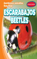 Escarabajos / Beetles