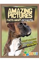 Amazing Pictures and Facts About Boxers: The Most Amazing Fact Book for Kids About Boxers (Kids U)