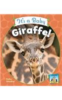 It's a Baby Giraffe!