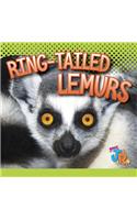 Ring-Tailed Lemurs