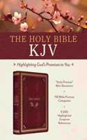 Holy Bible Kjv: Highlighting God's Promises to You [Crimson & Gold]