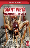 Giant Weta: Mammoth Insect