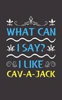 What Can I Say? I Like Cav-a-Jack