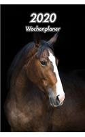 2020 Wochenplaner: Englisches Vollblut - Pferdesport - 129 Seiten, 15cm x 23cm ca. A5 - Taschenkalender - Terminplaner - Tagebuch - Terminkalender - Organizer für Pfer