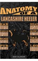 Anatomy Of A Lancashire Heeler: Lancashire Heeler 2020 Calendar - Customized Gift For Lancashire Heeler Dog Owner