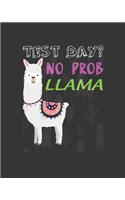 Test Day? No Prob Llama