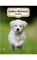 Golden Retriever Notebook: Puppy - Composition Book 150 pages 8.5 x 11 in. - College Ruled - Writing Notebook - Lined Paper - Soft Cover - Plain Journal