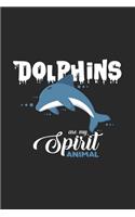 Dolphins are my spirit animal