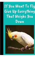 If You Want To Fly Give Up Everything That Weighs You Down