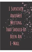 I Survived Another Meeting That Should of Been an E-mail
