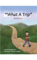 What A Trip