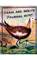 Draw and Write Journal Notes