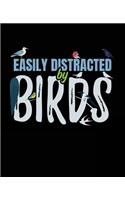 Easily Distracted By Birds