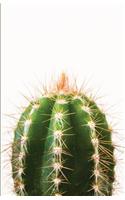 The Botanical Collection