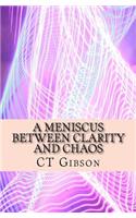 A Meniscus Between Clarity and Chaos