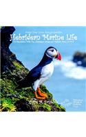 Draw Your Own Encyclopaedia Hebridean Marine Life