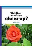 What things can make you cheer up?