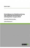 Unterrichtsstunde Membranaufbau (Biologie 11. Klasse Gymnasium): Entwicklung einer Modellvorstellung zum Aufbau der Biomembran in Gruppenarbeit(German)