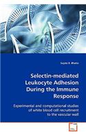 Selectin-mediated Leukocyte Adhesion During the Immune Response