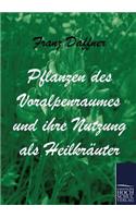 Pflanzen des Voralpenraumes und ihre Nutzung als Heilkräuter