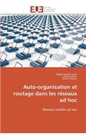 Auto-Organisation Et Routage Dans Les Réseaux Ad Hoc