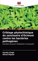 Criblage phytochimique du sanctuaire d'Ocimum contre les bactéries pathogènes