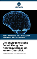 Die phylogenetische Entwicklung des Nervensystems