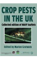 Crop Pests in the UK