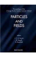 Particles and Fields - Proceedings of the X Jorge Andre Swieca Summer School
