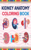 Kidney Anatomy Coloring Book