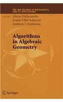 Algorithms in Algebraic Geometry