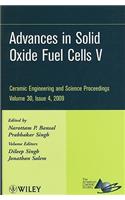 Advances in Solid Oxide Fuel Cells V, Volume 30, Issue 4