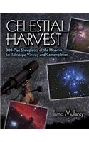 Celestial Harvest
