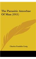 Parasitic Amoebae Of Man (1911)