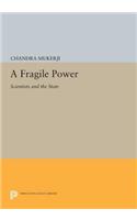 A Fragile Power: Scientists and the State