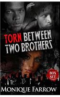 Torn Between Two Brothers