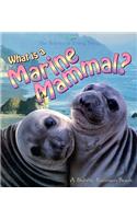 What Is a Marine Mammal?