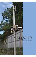 Velocity