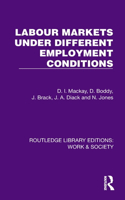 Labour Markets Under Different Employment Conditions