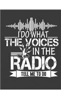 I Do What the Voices in the Radio