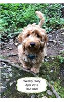 Weekly Diary April 2019-Dec 2020: 6x9 week to a page planner with notes & to do list each week. Extra notes pages included. Perfect for self-employed, business, shift workers & as ch